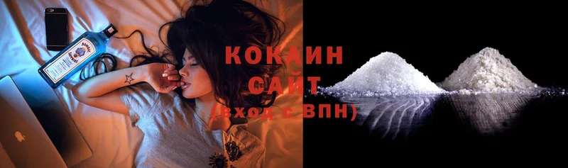 купить  сайты  Гдов  Cocaine Эквадор 