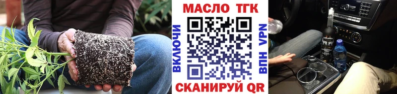 как найти закладки  Гдов  ТГК концентрат 