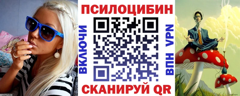 продажа наркотиков  Гдов  Псилоцибиновые грибы GOLDEN TEACHER 